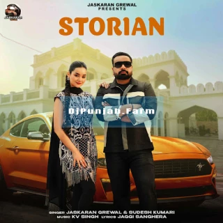 Storian song cover