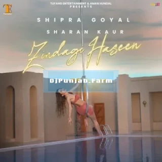 Zindagi Haseen song cover
