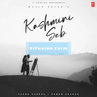 Kashmiri Seb song cover