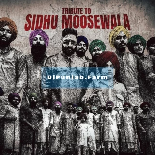 Tribute To Sidhu Moosewala song cover
