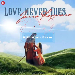Love Never Dies song cover
