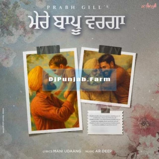 Mere Baapu Warga song cover