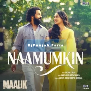 Naamumkin song cover