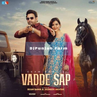 Vadde Sap song cover