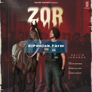 Zor song cover