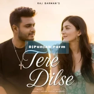 Tere Dilse song cover