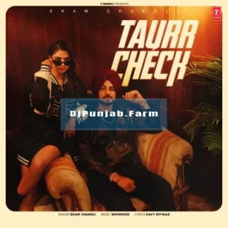 Taurr Check song cover