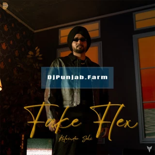 Fake Flex song cover