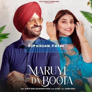 Maruye Da Boota song cover