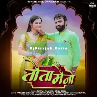 Tota Maina song cover
