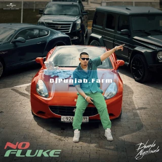 No Fluke song cover