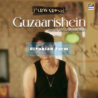 Guzaarishein (Parwarish) song cover