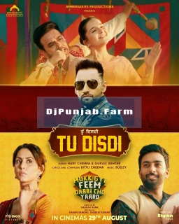 Tu Disdi song cover