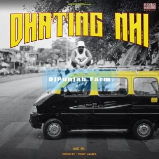 Dhating Nhi song cover