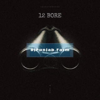 12 Bore song cover