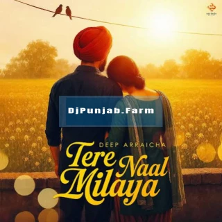 Tere Naal Milaya song cover