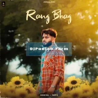 Rang Bhag song cover