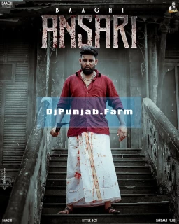 Ansari song cover