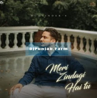 Meri Zindagi Hai Tu song cover