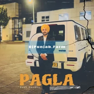Pagla song cover