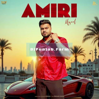 Amiri song cover