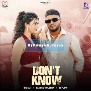 Dont Know song cover