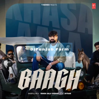 Baagh song cover