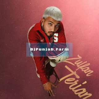 Zulfan Terian song cover