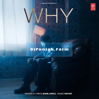 WHY song cover