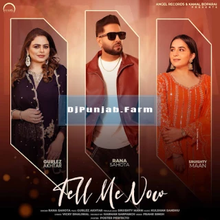 Tell Me Now song cover