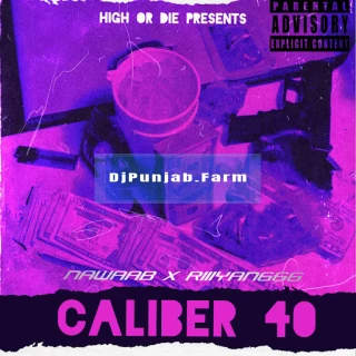 Caliber 40 song cover