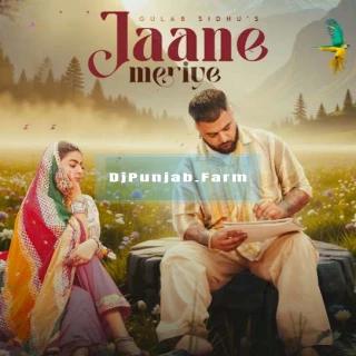 Jaane Meriye song cover