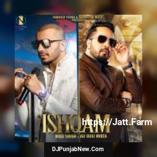 Ishqam Ali Quli Mirza, Mika Singh song cover