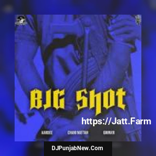 Big Shot Aardee song cover