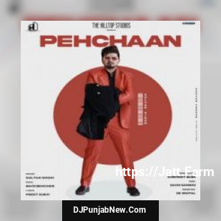 Pehchaan Sultan Singh song cover