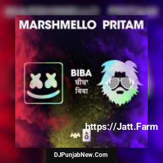 BIBA Marshmello, Shirley Setia, Pardeep Singh Sran, Dev Negi, Pritam Chakraborty song cover