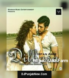 Dilbara Irfan Amir song cover