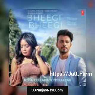Bheegi Bheegi Tony Kakkar, Neha Kakkar song cover