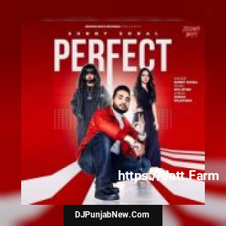 Perfect Sunny Sohal song cover