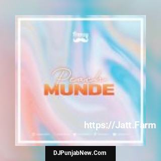 Peach Munde Dj Frenzy, AP Dhillon song cover