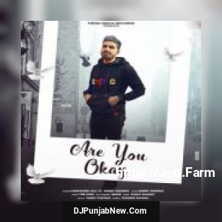 Are You Ok Garry Sandhu, Harpinder Gill song cover