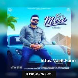 Teri Meri Kulbir Jhinjer, Mehar Vaani song cover