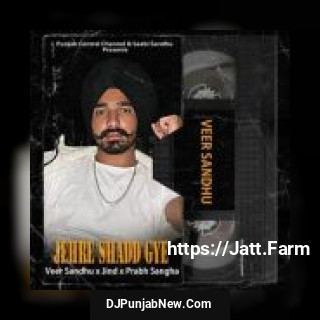 Jerhe Shadd Gye Veer Sandhu song cover