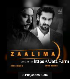 Zaalima Waqar EX, Bohemia song cover
