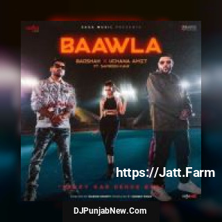 Baawla Badshah, Uchana Amit song cover