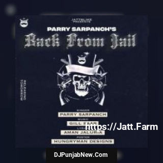 Back From Jail Parry Sarpanch song cover