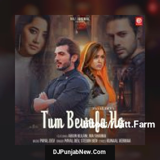 Tum Bewafa Ho Payal Dev, Stebin Ben song cover