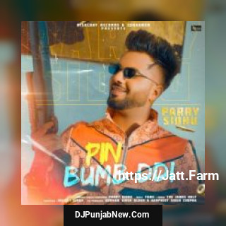 Pin Bumb DDi Parry Sidhu song cover