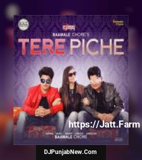 Tere Piche Baawale Chore song cover