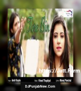Tere Bin Amit Gupta song cover